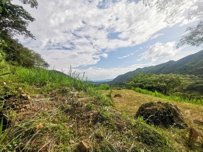 Finca en Venta en Cumaca, Ricaurte - Miniatura 10