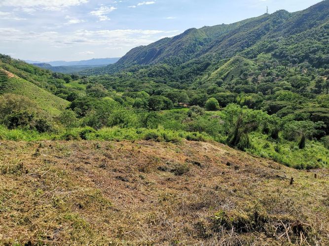 Finca en Venta en Cumaca, Ricaurte - Miniatura 21