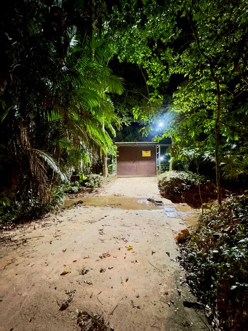 Finca en Venta en Cumaca, Ricaurte - Miniatura 29