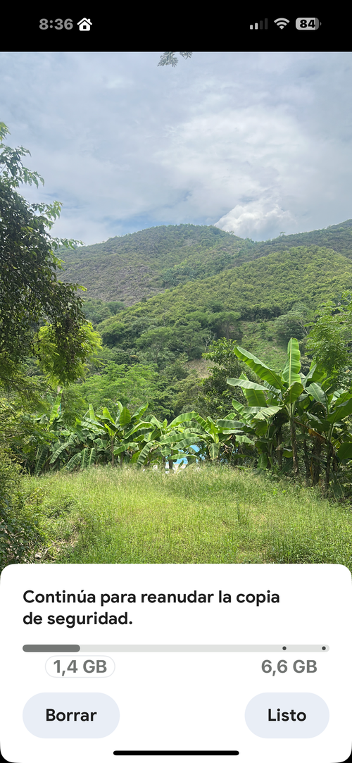 Finca en Venta en Cumaca, Ricaurte - Miniatura 30