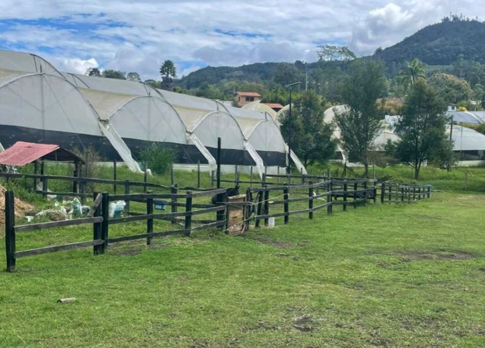 Finca en Arriendo en Llano Grande, Rionegro - Miniatura 18