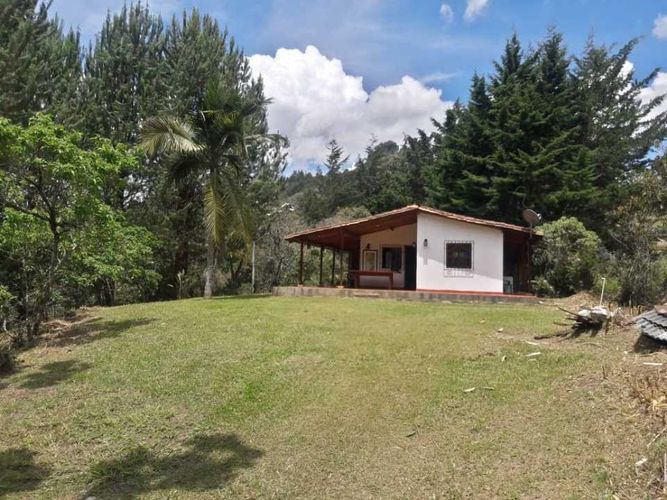 Finca en  Arriendo en Rionegro - Imagen 1
