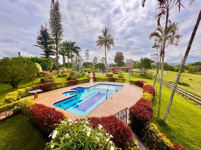 Finca en venta en Morelia, Pereira - Miniatura 2