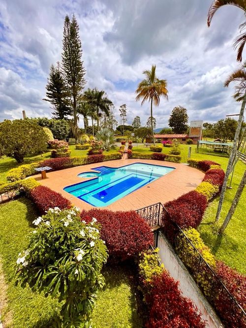 Finca en venta en Morelia, Pereira - Miniatura 7