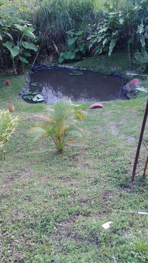 Finca en Venta en Andes - Miniatura 3