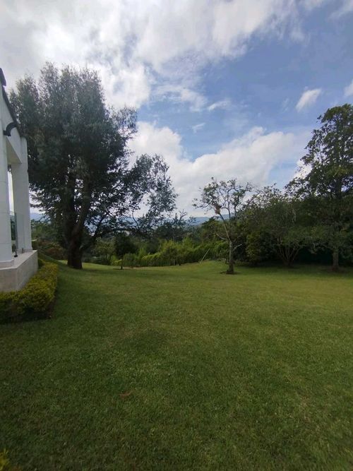 Finca en Arriendo en El carmen de viboral - Miniatura 13