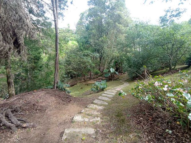 Finca en Venta en Rionegro - Miniatura 27
