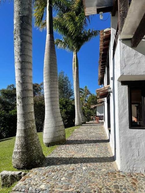 Finca en  Arriendo en Rionegro - Miniatura 4