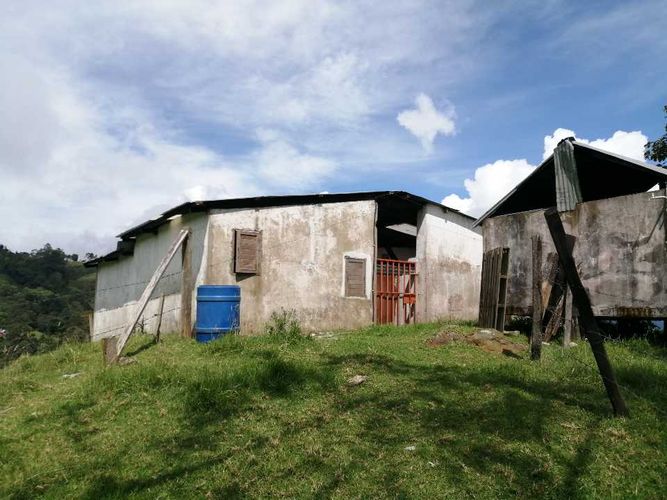 Finca en  Venta en Guayabal de siquima - Miniatura 3
