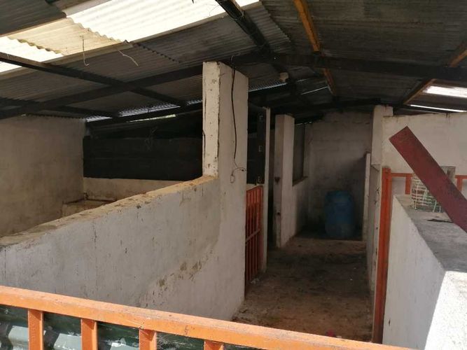 Finca en  Venta en Guayabal de siquima - Miniatura 4