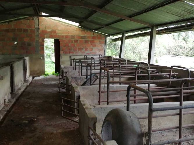 Finca en  Venta en Guayabal de siquima - Miniatura 13