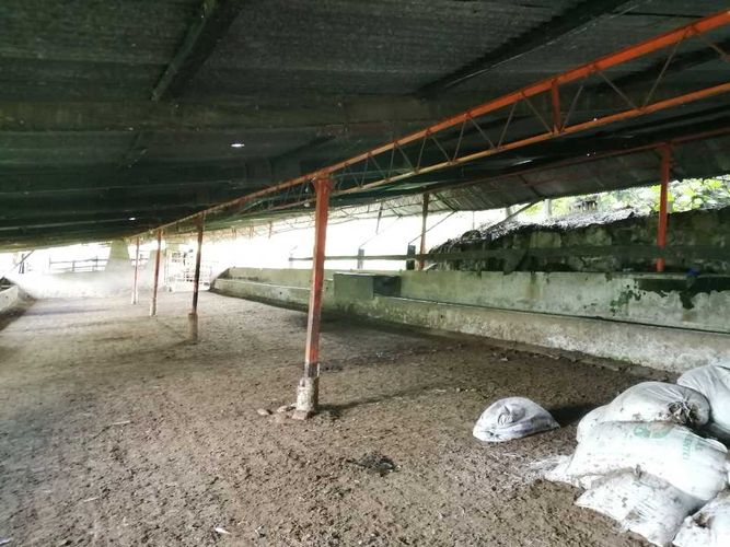 Finca en  Venta en Guayabal de siquima - Miniatura 14