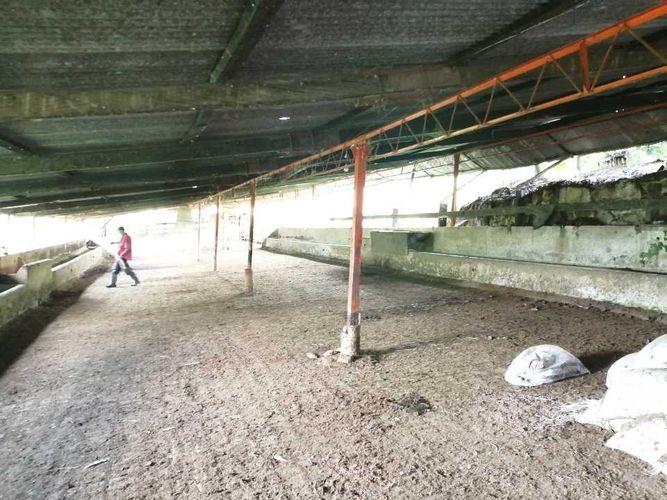 Finca en  Venta en Guayabal de siquima - Miniatura 16
