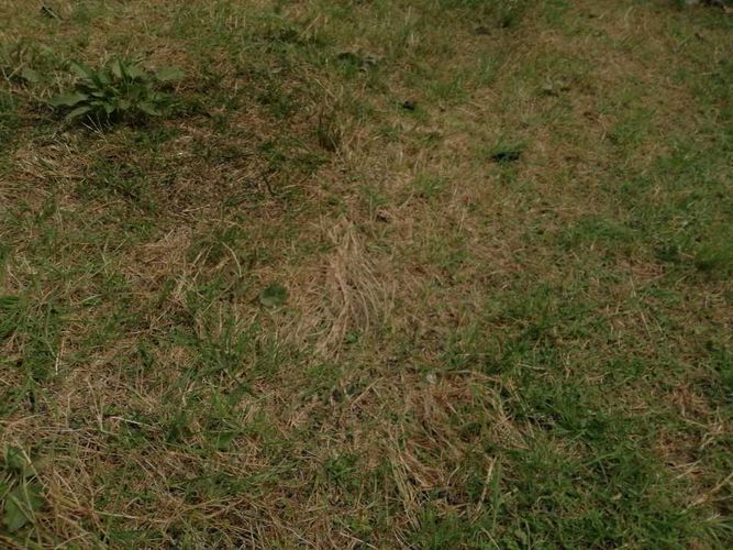 Finca en  Venta en Guayabal de siquima - Miniatura 17