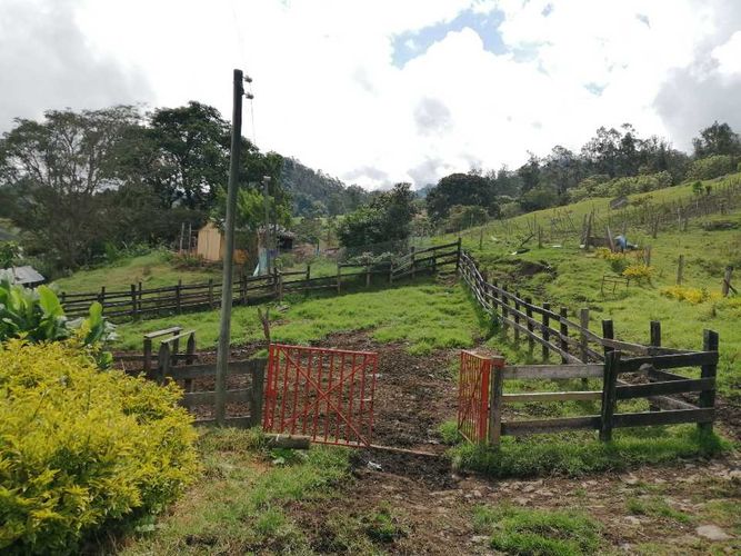 Finca en  Venta en Guayabal de siquima - Miniatura 18