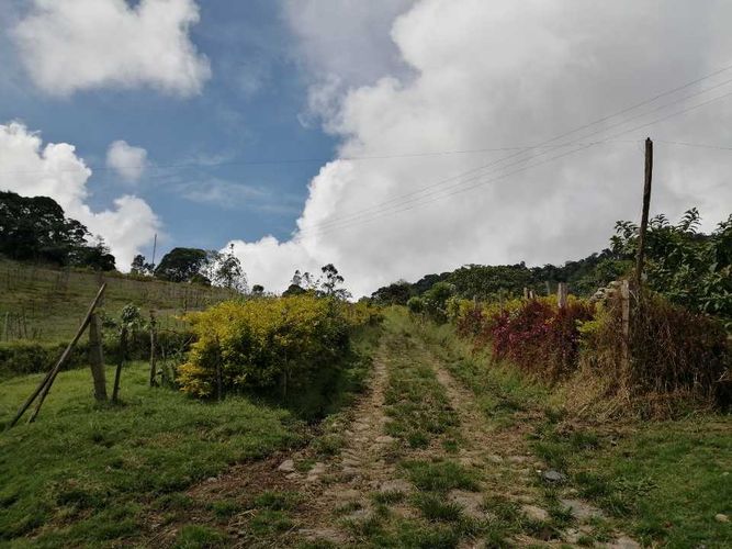 Finca en  Venta en Guayabal de siquima - Miniatura 20