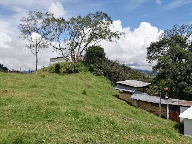 Finca en  Venta en Guayabal de siquima - Miniatura 22