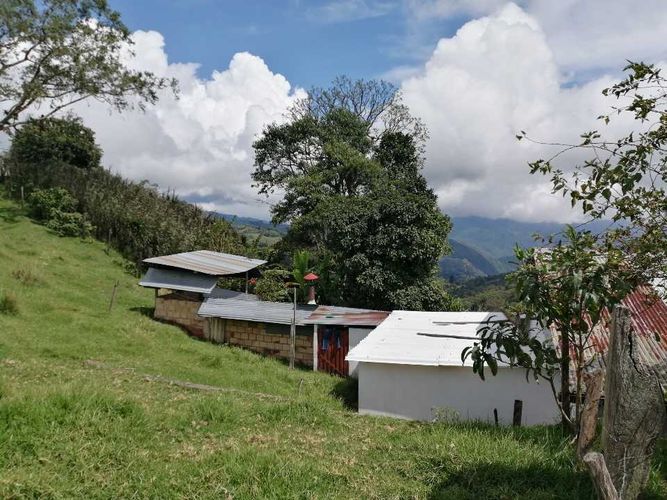 Finca en  Venta en Guayabal de siquima - Miniatura 23