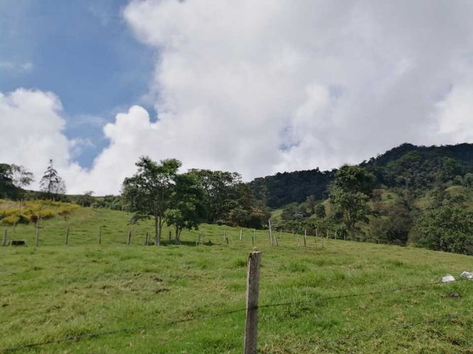 Finca en  Venta en Guayabal de siquima - Miniatura 24