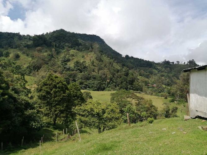 Finca en  Venta en Guayabal de siquima - Miniatura 25