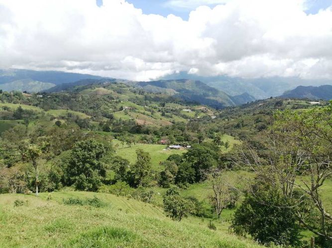 Finca en  Venta en Guayabal de siquima - Miniatura 26