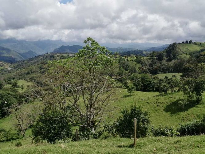 Finca en  Venta en Guayabal de siquima - Miniatura 27