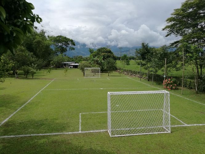 Finca en Venta en Inspeccion guacavia, Cumaral - Miniatura 5