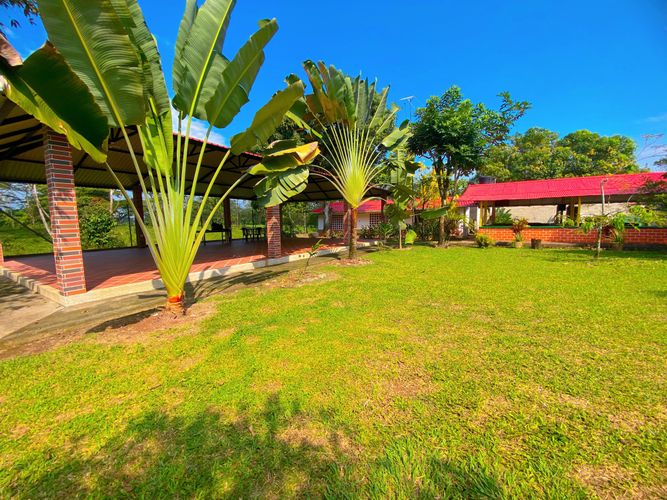 Finca en Venta en Inspeccion guacavia, Cumaral - Miniatura 24