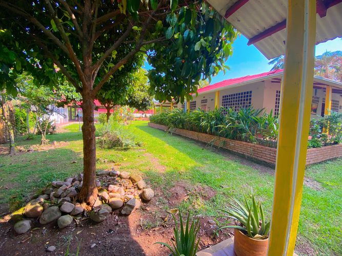 Finca en Venta en Inspeccion guacavia, Cumaral - Miniatura 30