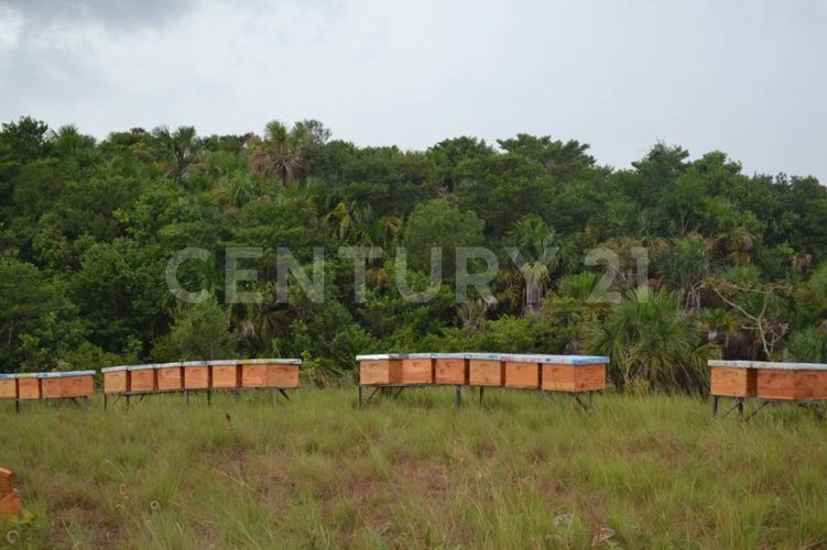 Finca en  Venta en Puerto López - Miniatura 4