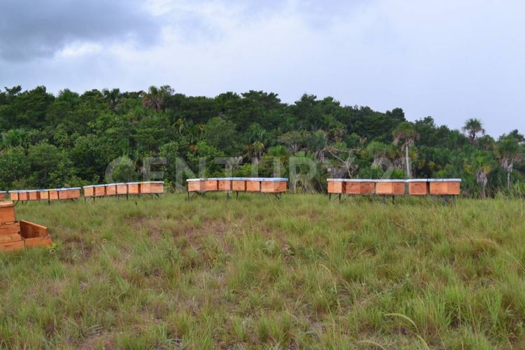 Finca en  Venta en Puerto López - Miniatura 5