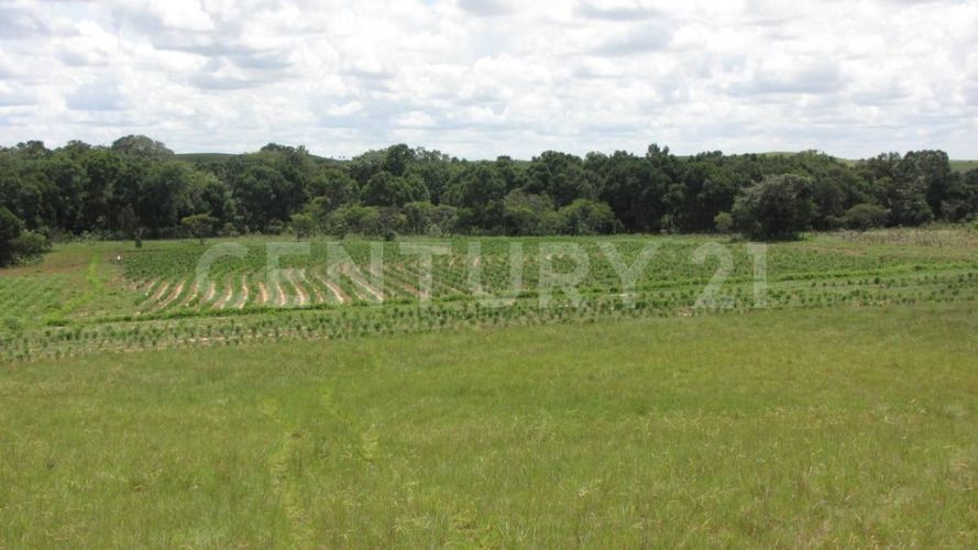 Finca en  Venta en Puerto López - Miniatura 8