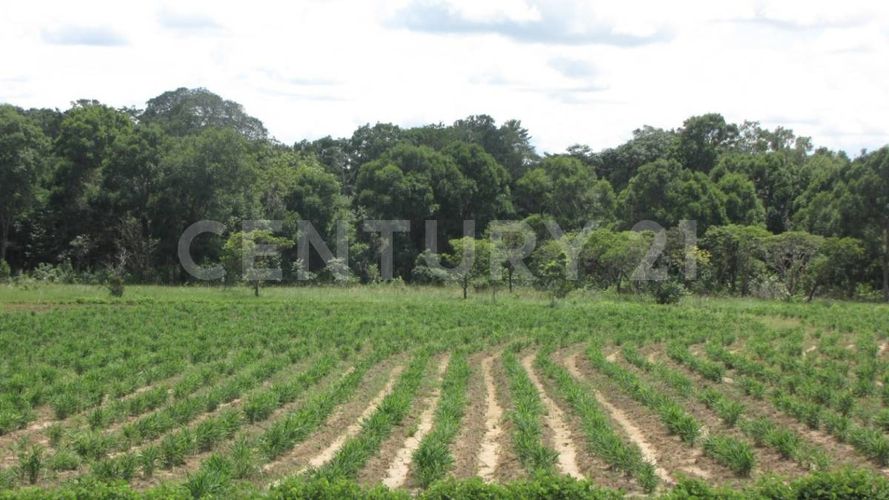Finca en  Venta en Puerto López - Miniatura 9