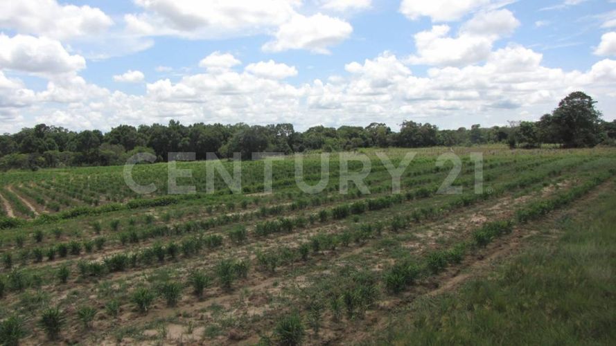 Finca en  Venta en Puerto López - Miniatura 10