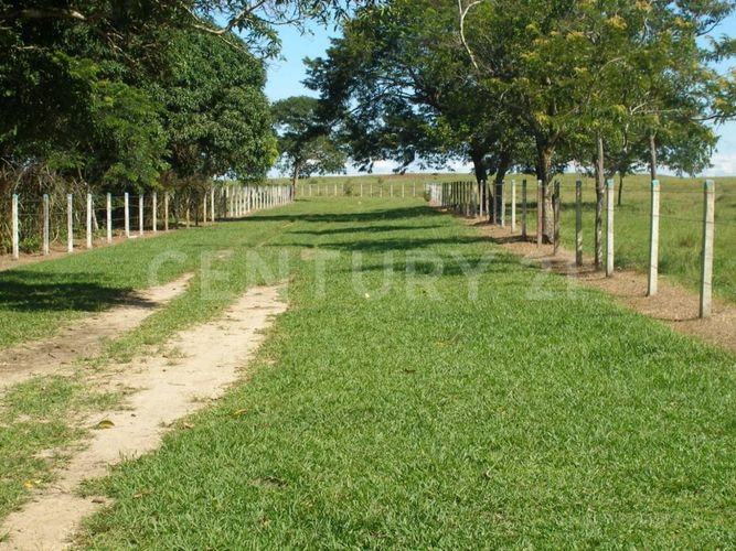 Finca en  Venta en Puerto López - Miniatura 19