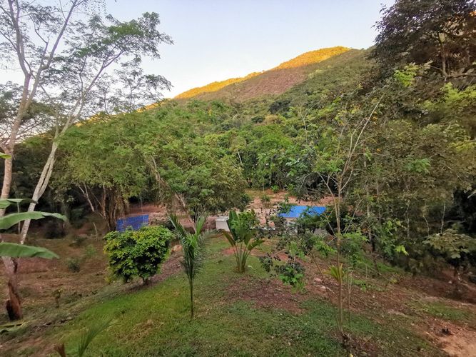 Finca en Venta en Cumaca, Ricaurte - Miniatura 9