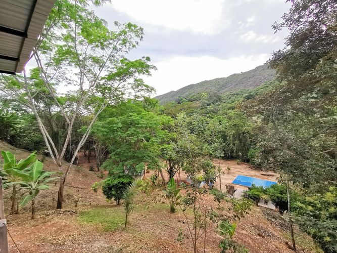 Finca en Venta en Cumaca, Ricaurte - Miniatura 11