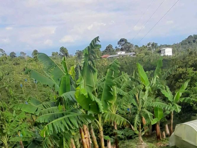 Finca en Venta en Armenia - Miniatura 6