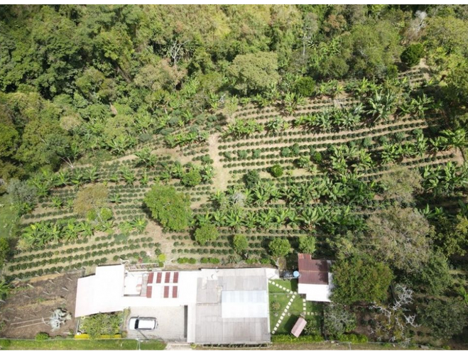 Finca en  Venta en Armenia - Miniatura 19
