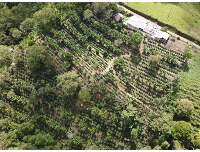 Finca en  Venta en Armenia - Miniatura 20