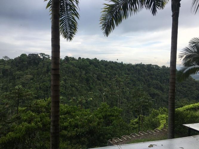 Apartaestudio en  Venta en Cerritos, Pereira - Miniatura 15