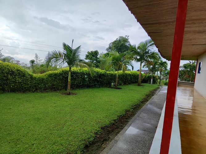 Finca en  Venta en Ulloa - Miniatura 2