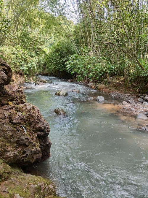 Finca en  Venta en Ulloa - Miniatura 5