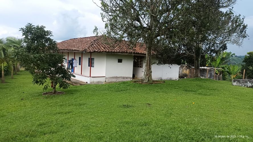 Finca en  Venta en Ulloa - Miniatura 6
