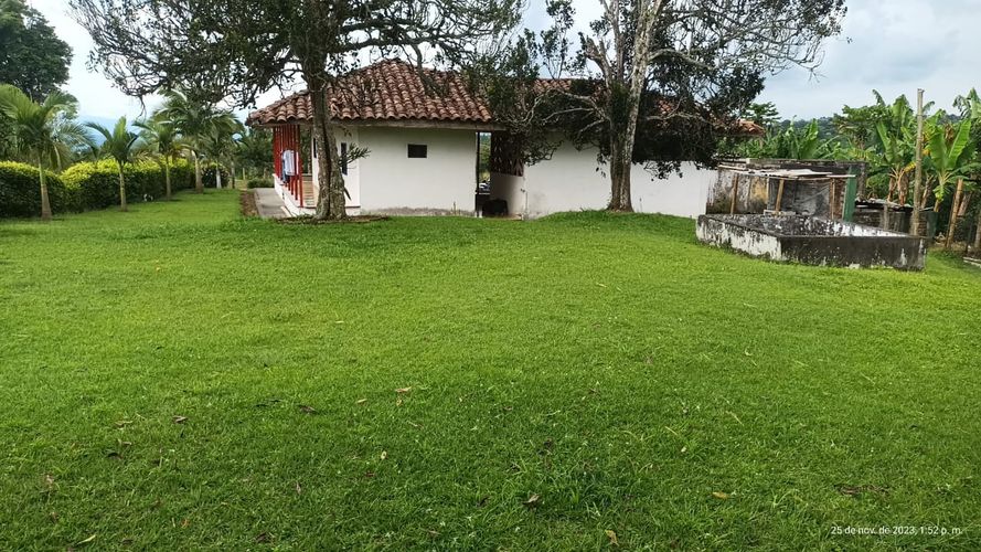 Finca en  Venta en Ulloa - Miniatura 7