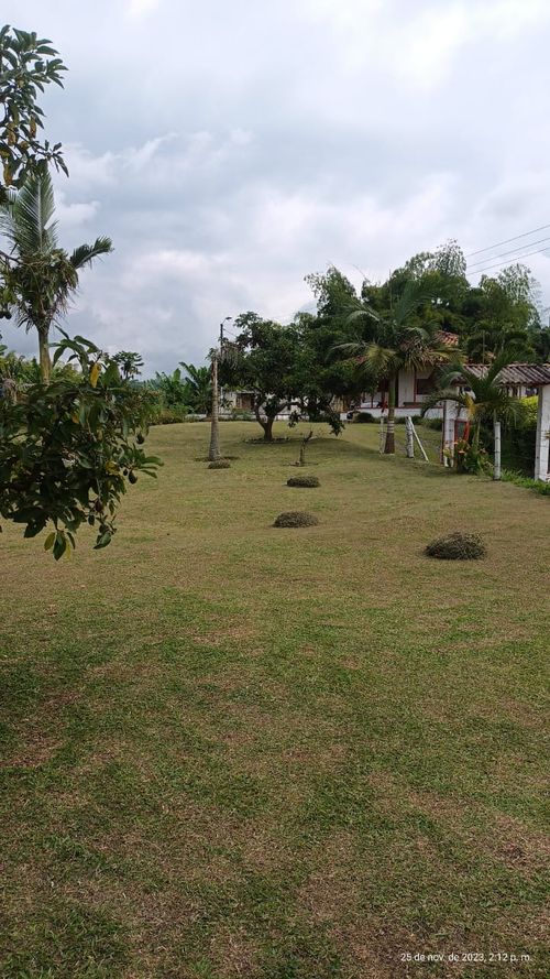 Finca en  Venta en Ulloa - Miniatura 8
