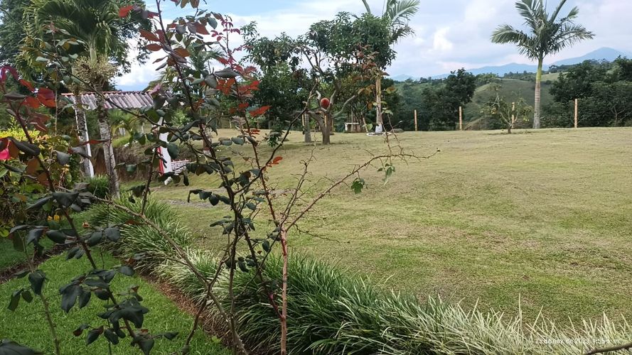Finca en  Venta en Ulloa - Miniatura 9