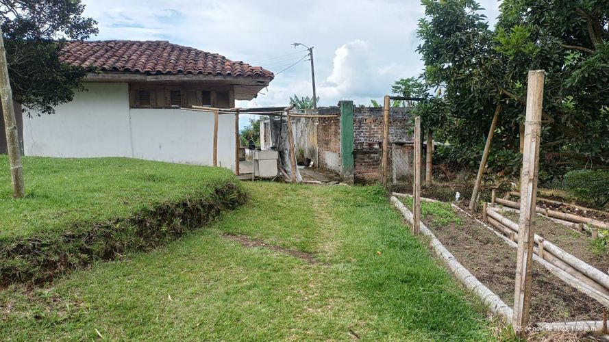 Finca en  Venta en Ulloa - Miniatura 11