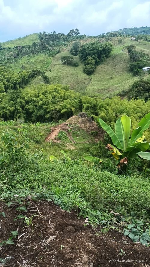 Finca en  Venta en Ulloa - Miniatura 16