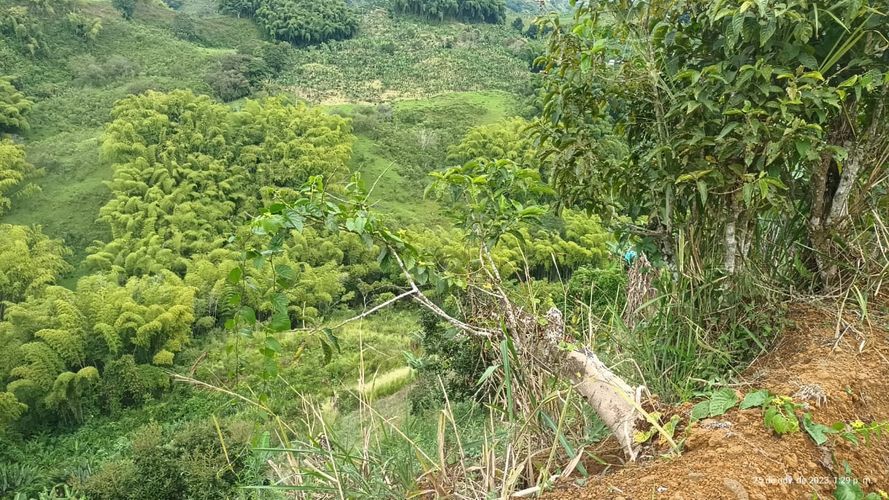 Finca en  Venta en Ulloa - Miniatura 19